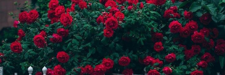 Made_Danny's profile banner image
