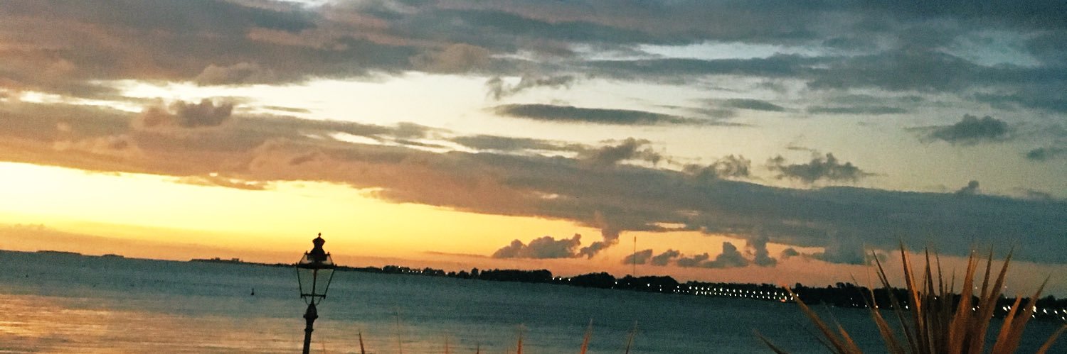 acluzardo_'s profile banner image