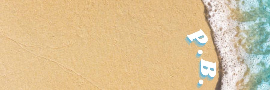 𝑹𝑰𝑫𝑬 𝑻𝑯𝑬 𝑾𝑨𝑽𝑬𝑺 .ᐟ banner