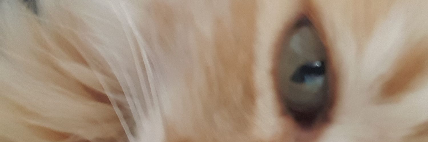 Romyrami's profile banner image