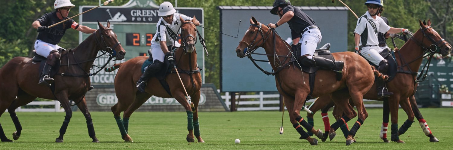 ConnecticutLuxury banner
