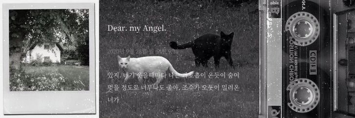 cat girl banner