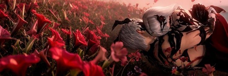 dove 🕊 new acc!! banner