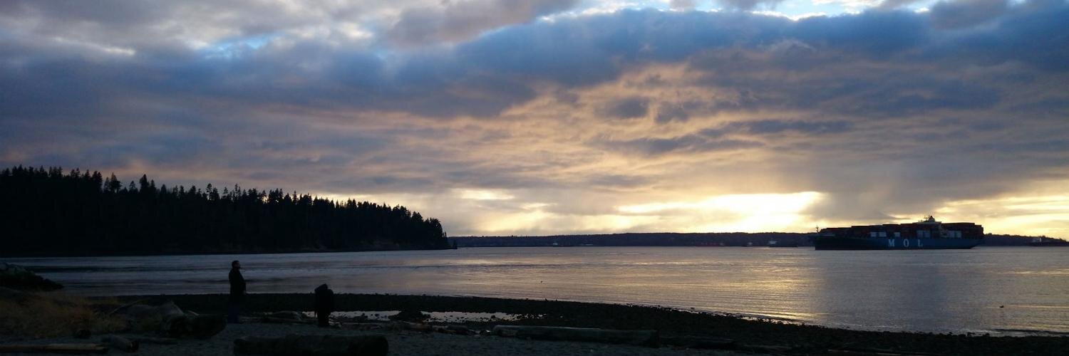 Alex Shipillo banner