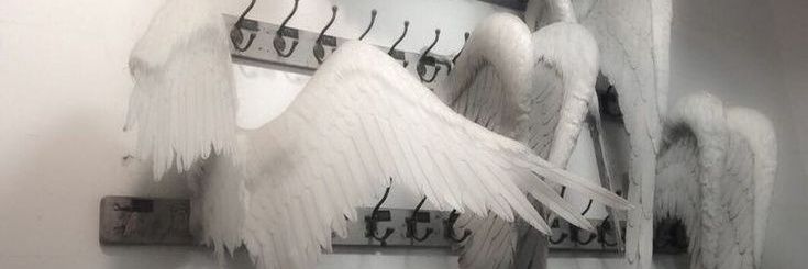 msarentimmortal's profile banner image