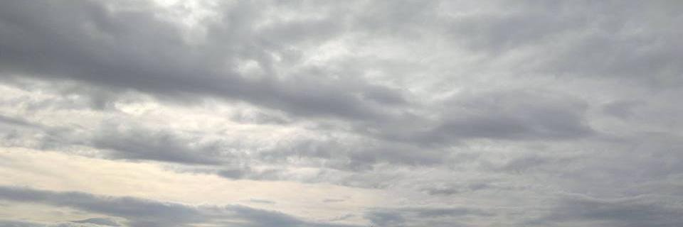 tantovaser's profile banner image