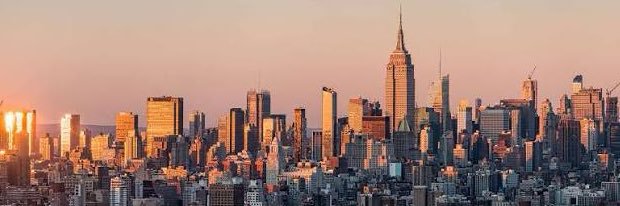 Warren Piece, MD banner