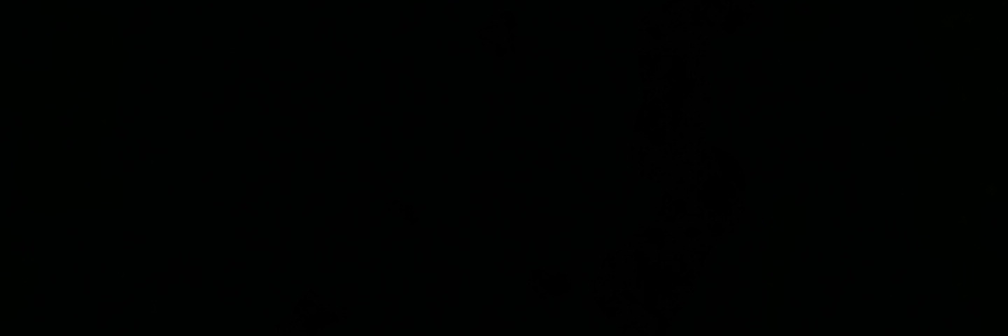 sa banner
