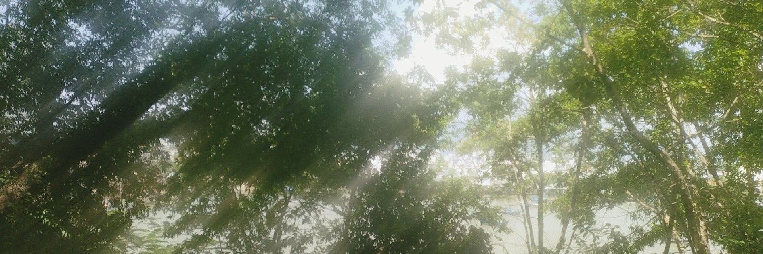 네니 NENI🅾️Live2D banner