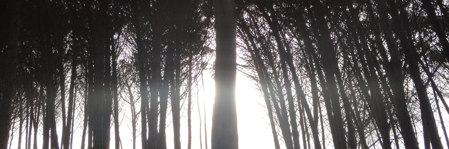 begoka_'s profile banner image