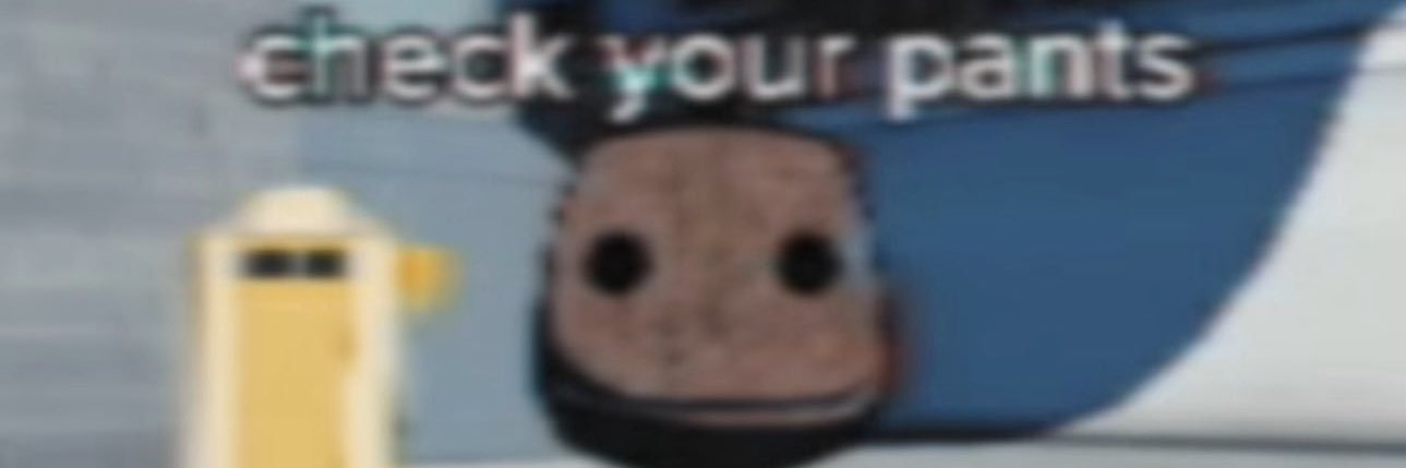 BigDawg banner