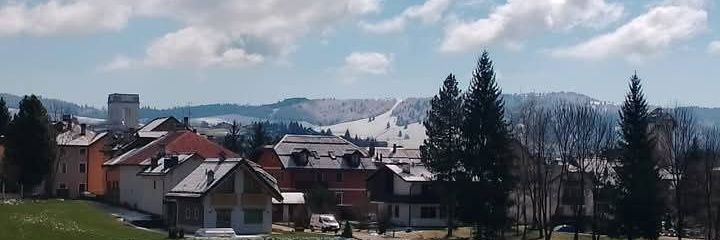 Dario Rossetto banner