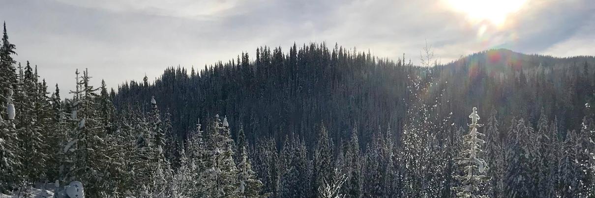 RandaLeeDawn's profile banner image