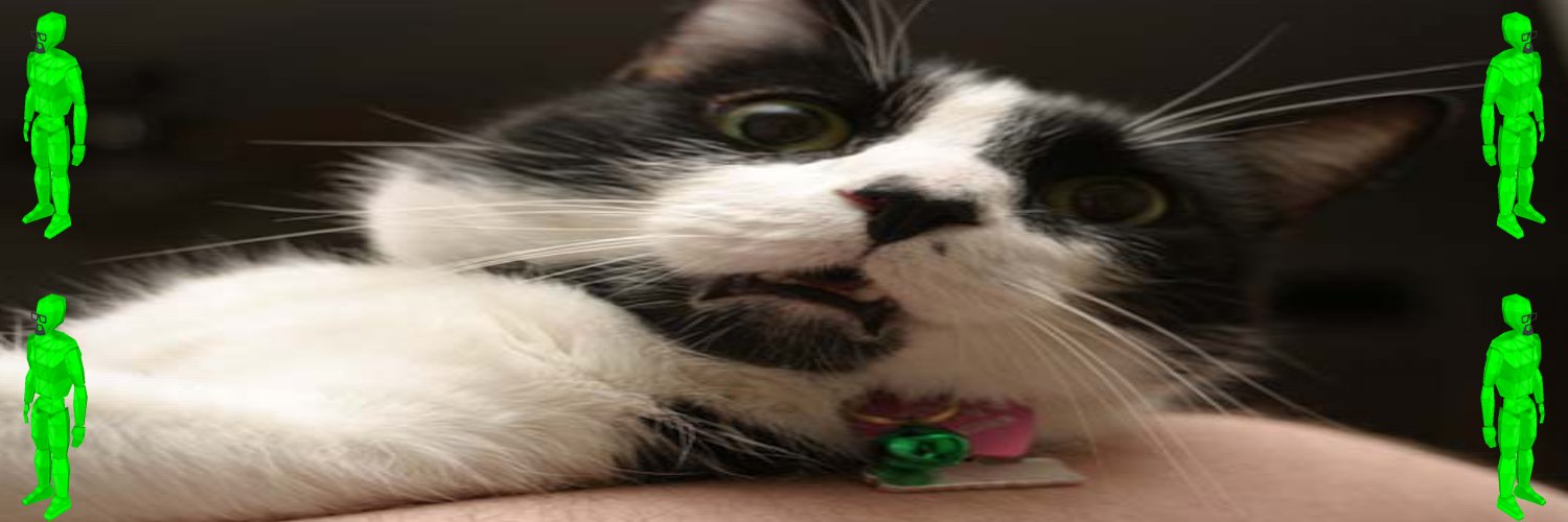 That_Cat06's profile banner image