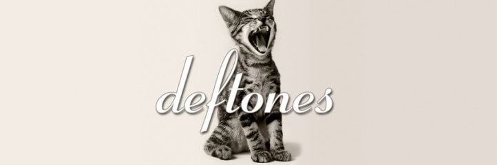 ♫ 𝕜𝕛 ♫ shedtwt banner