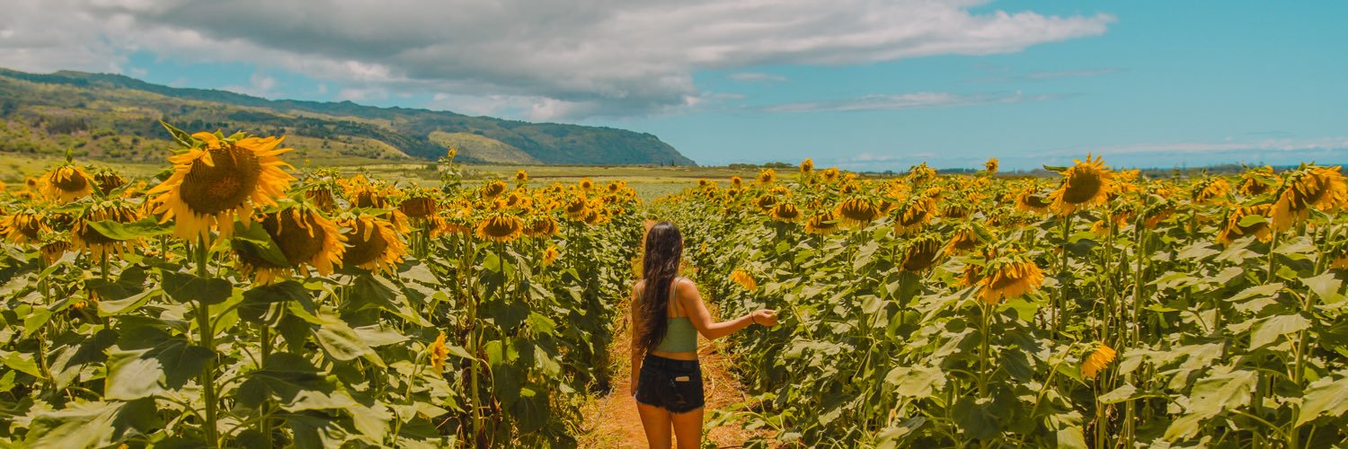 Ashley O. banner
