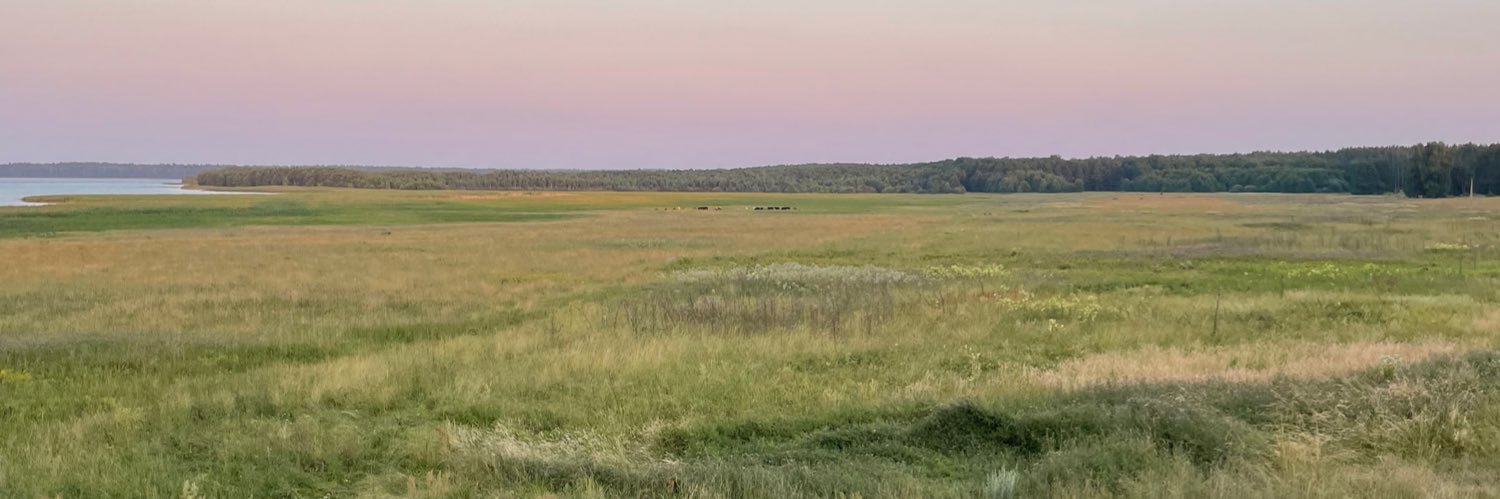 andy 🐈‍⬛ banner