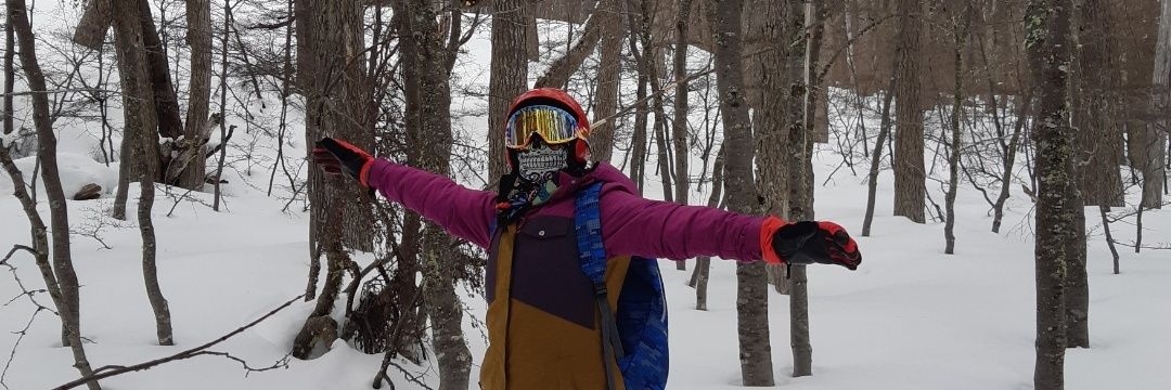 ppelozo's profile banner image