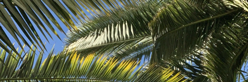 dudabegnis's profile banner image