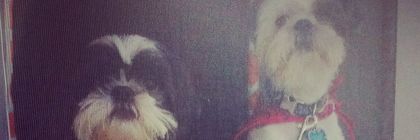JaymeR159's profile banner image