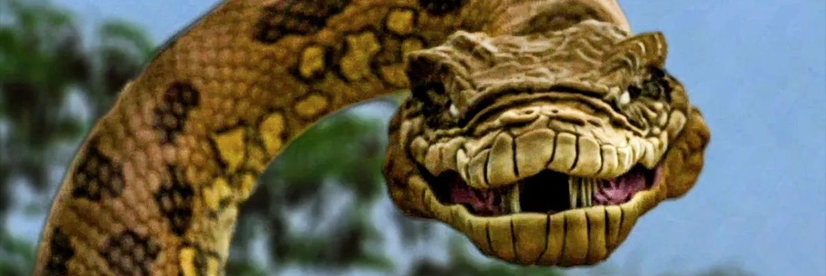 HydraCode🌻🍋 banner