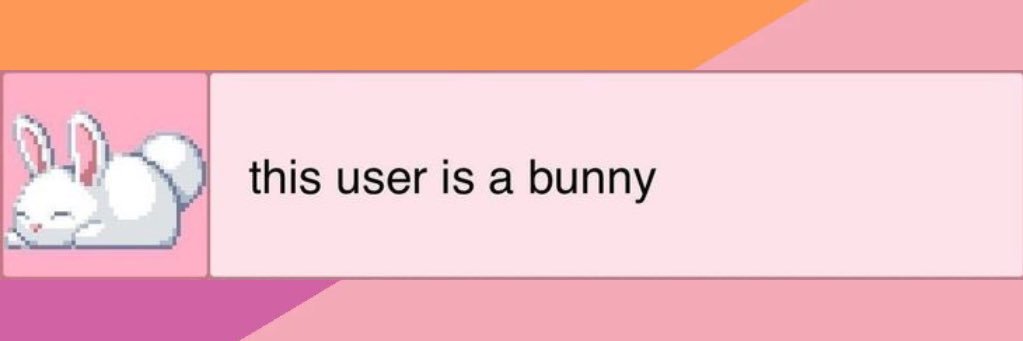 🐰🏳️‍⚧️Hannah 🇫🇷🏳️‍🌈 banner