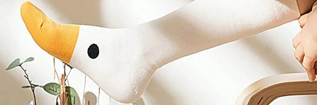 shimaaelrefay banner