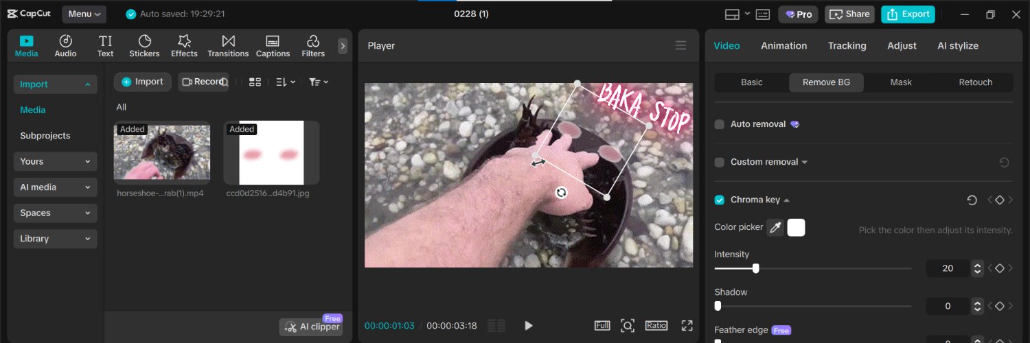 static doodle banner