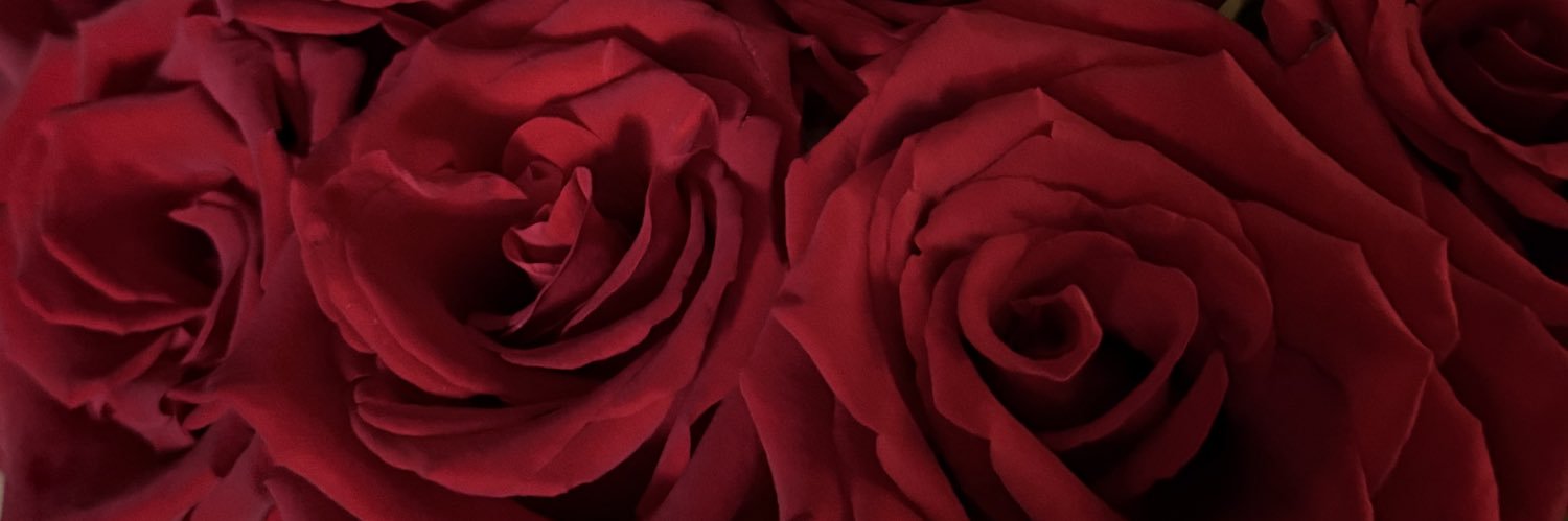 EelleV's profile banner image