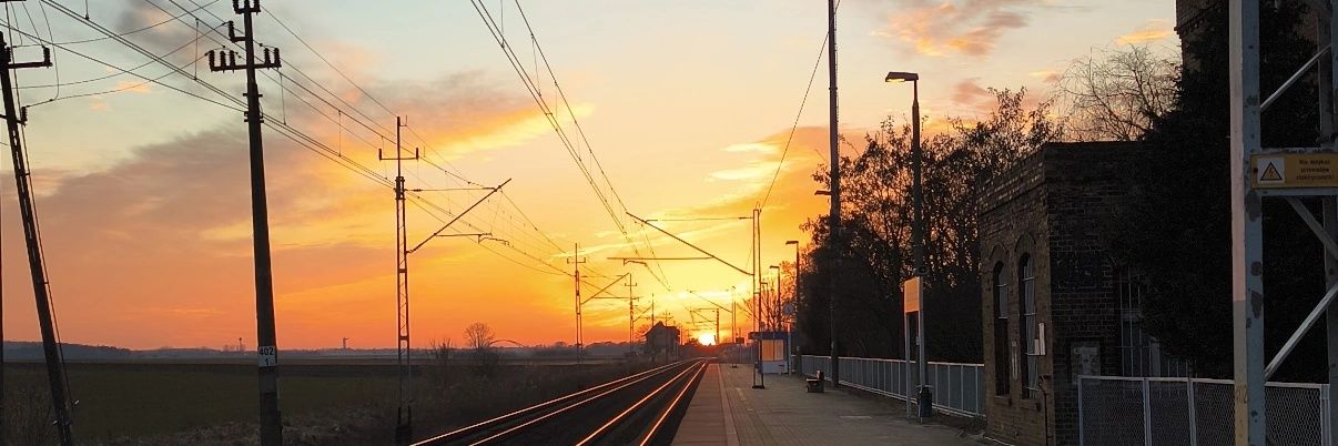 H A N N E Y ⚡ banner
