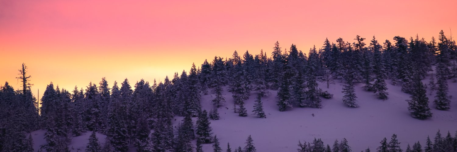 AlpineLifer 🤙🇨🇦🍁 banner