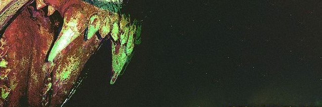 jensen fagckles banner