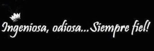 NENA BOBA banner