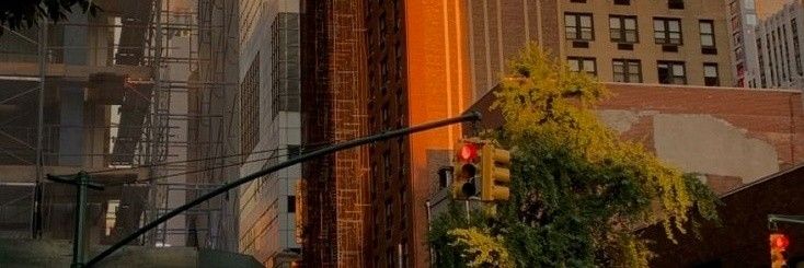 ollie banner
