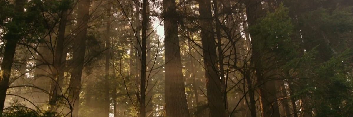 jckmrstons's profile banner image