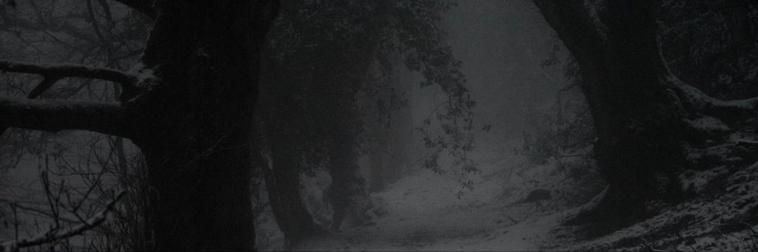 TELEVANGELLICAL's profile banner image