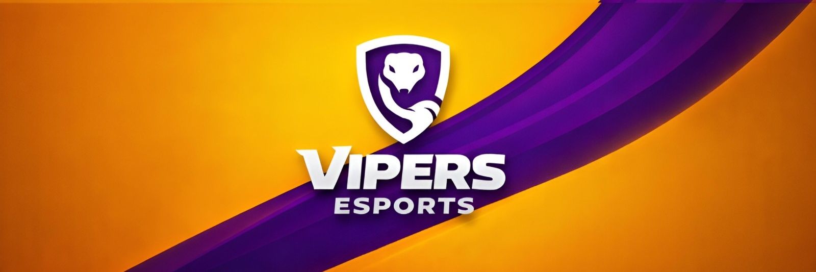 Vipers Esports banner