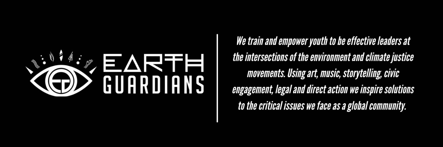 earthguardianz's profile banner image