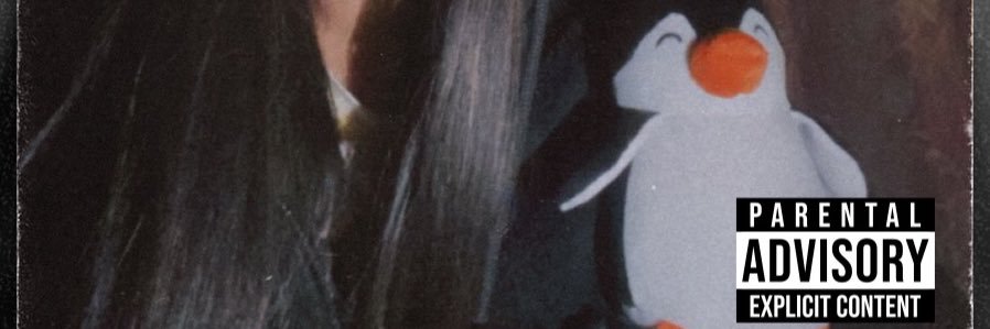 nilzylation's profile banner image
