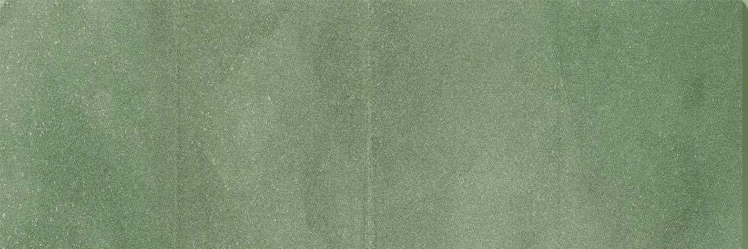 Noriaki Kakyoin banner