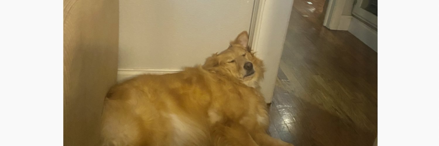 erm___ok's profile banner image