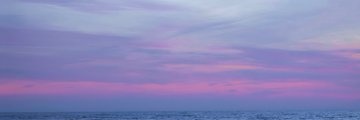 donita banner