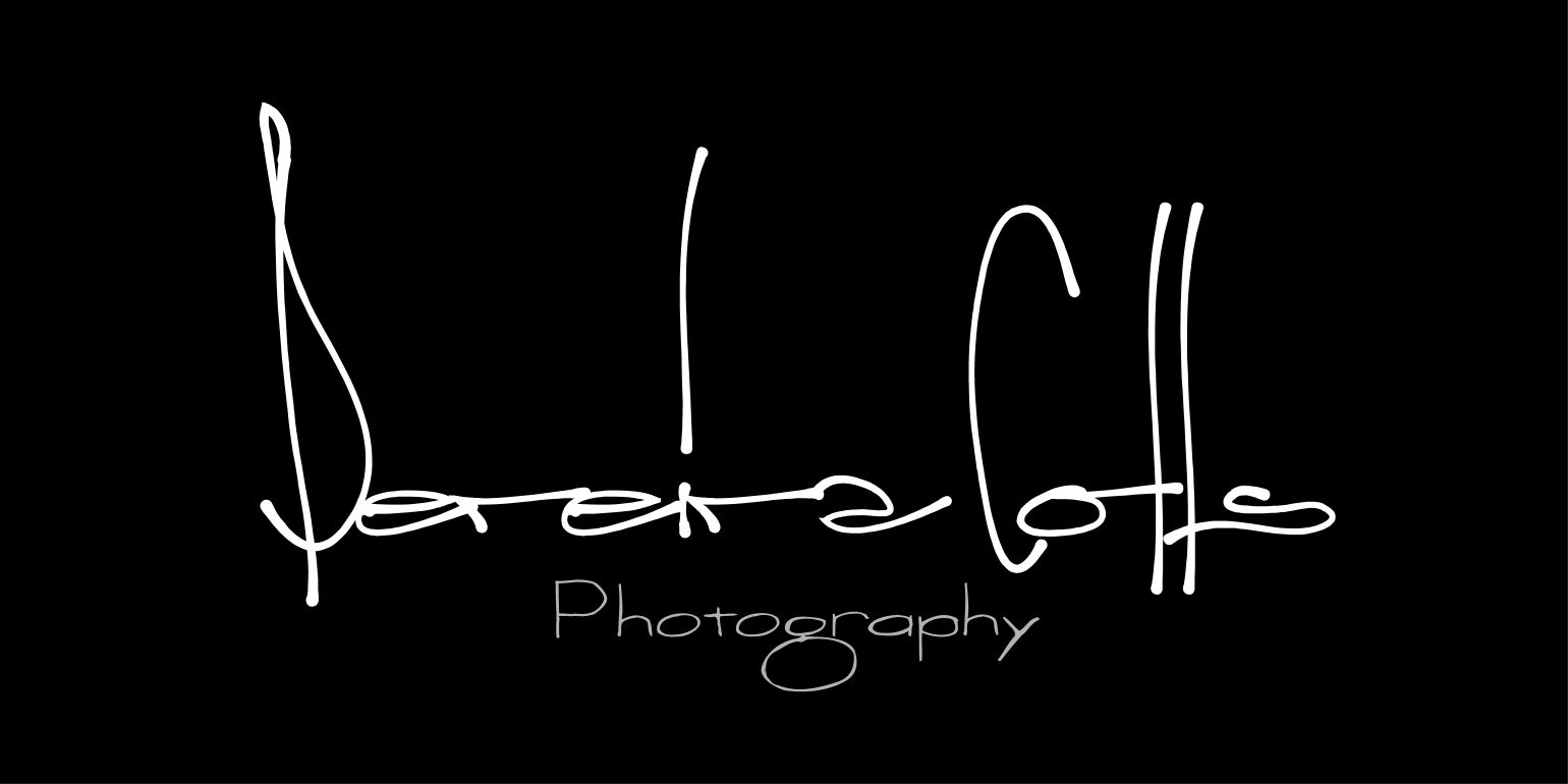 PereiraColls's profile banner image