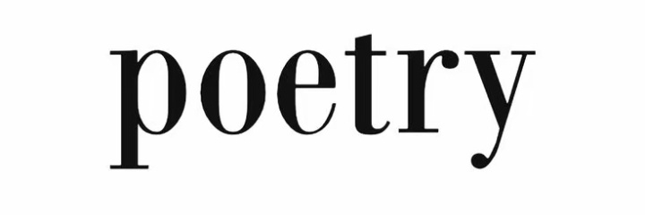 The Poet banner