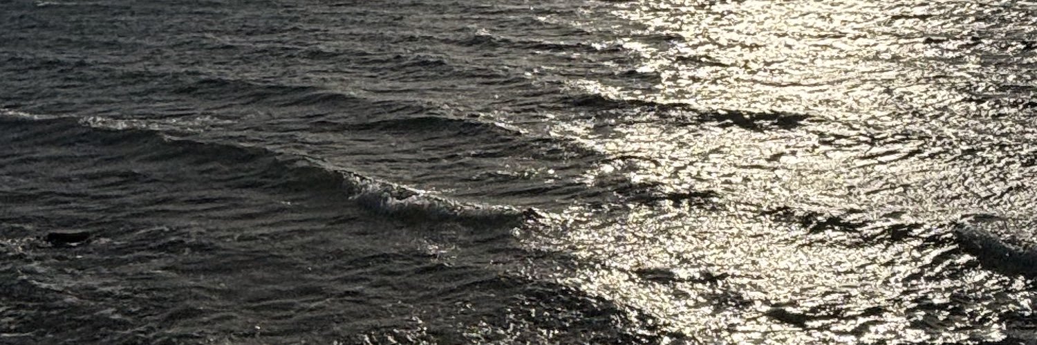 oceanmaruru's profile banner image