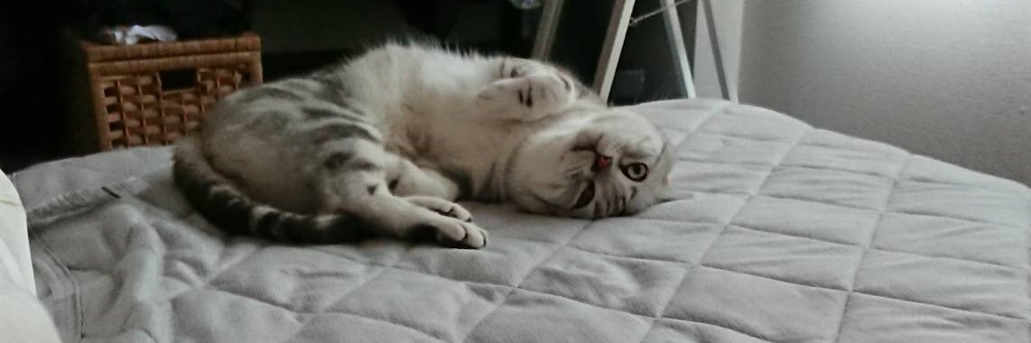 Ryo097's profile banner image