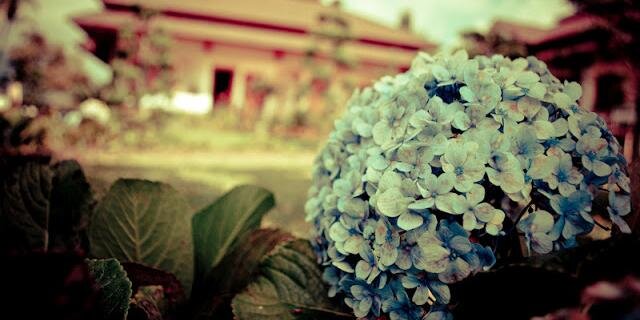 gustinputri's profile banner image
