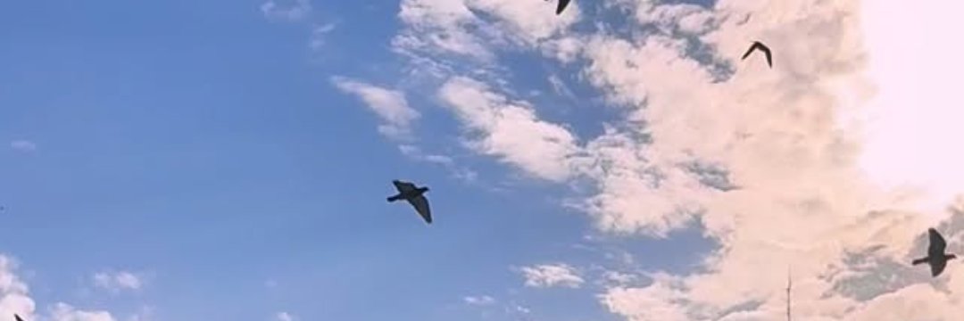 سَلْمَى.م.آلْ banner