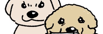 PAZZI banner