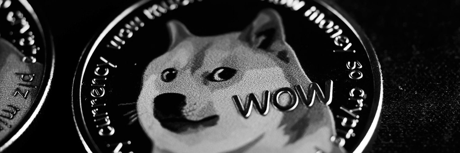 KevinMemeLover banner